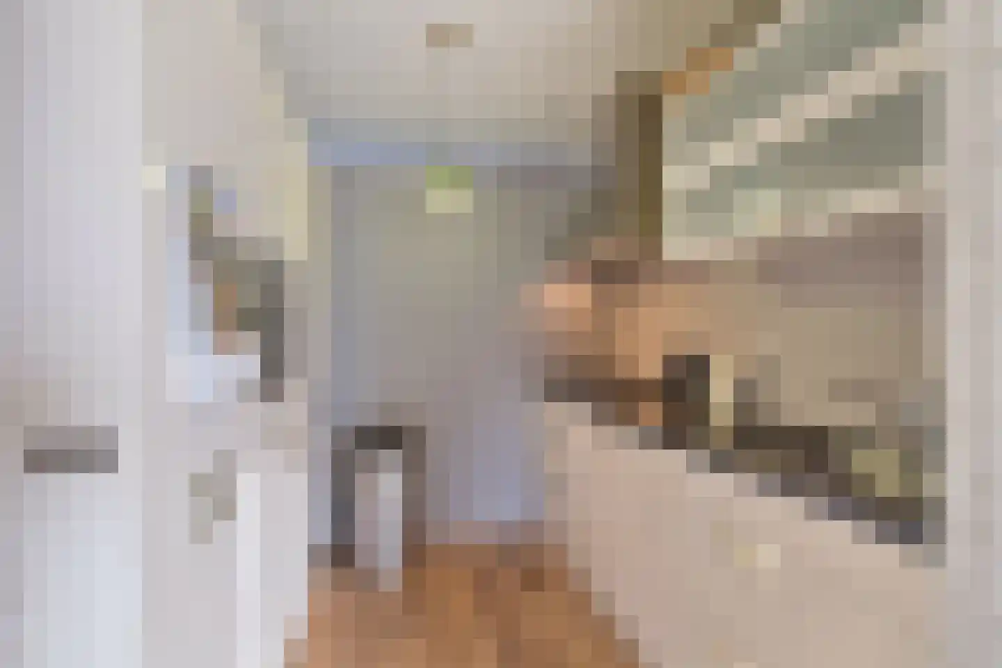 Sybold van Ravensteynpad 20 Bergschenhoek thumbnail 10