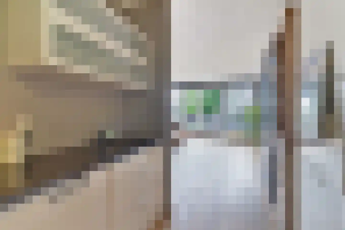 Sybold van Ravensteynpad 20 Bergschenhoek thumbnail 11