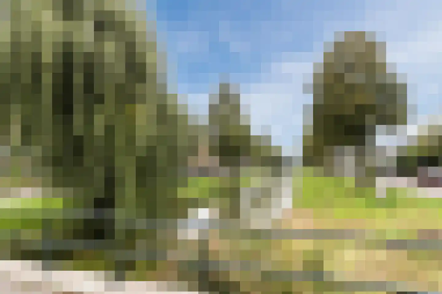 Sybold van Ravensteynpad 20 Bergschenhoek thumbnail 36
