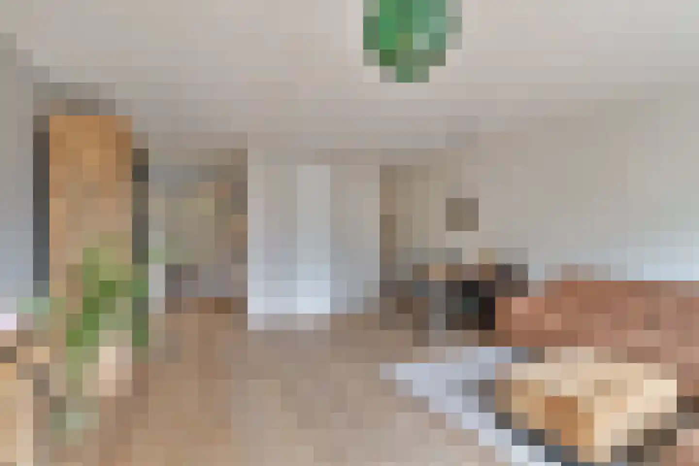 Sybold van Ravensteynpad 20 Bergschenhoek thumbnail 7