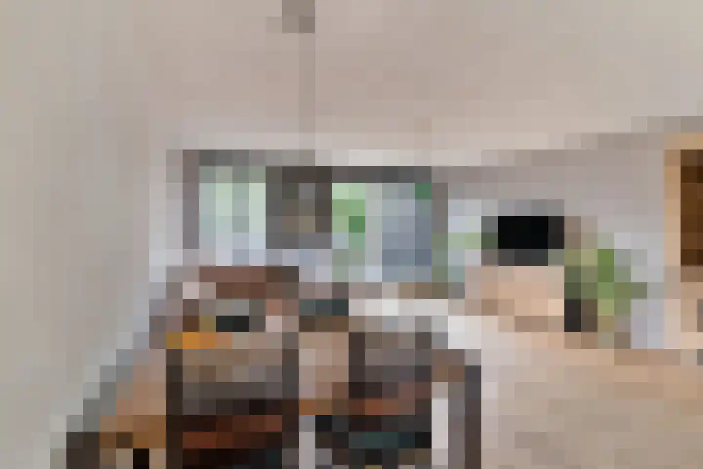 Sybold van Ravensteynpad 20 Bergschenhoek thumbnail 9