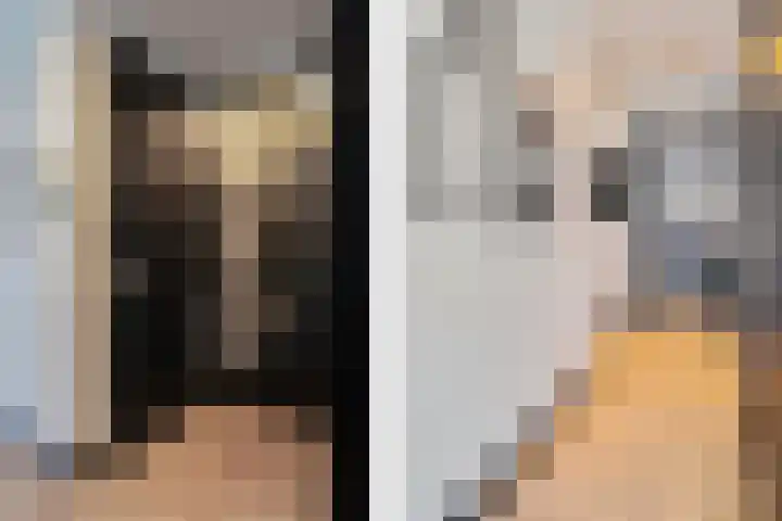 Sybold van Ravensteynpad 22 Bergschenhoek thumbnail 11