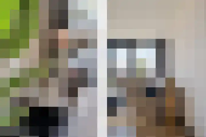 Sybold van Ravensteynpad 22 Bergschenhoek thumbnail 15