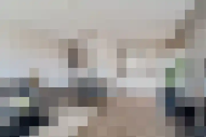 Sybold van Ravensteynpad 22 Bergschenhoek thumbnail 17