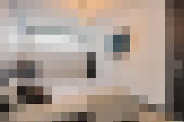 Sybold van Ravensteynpad 22 Bergschenhoek thumbnail 25