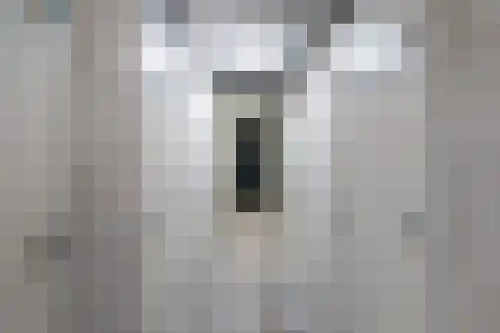Sybold van Ravensteynpad 22 Bergschenhoek thumbnail 28