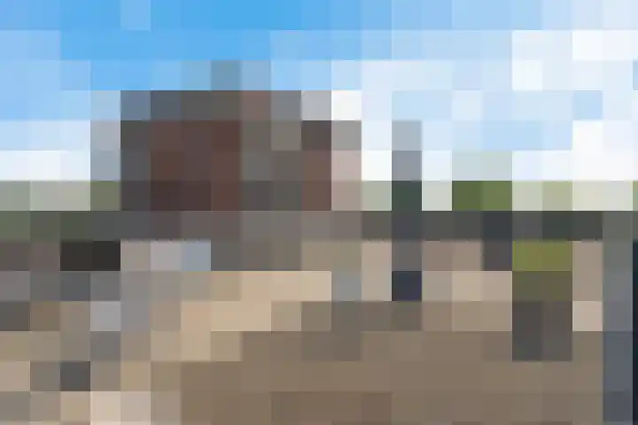 Sybold van Ravensteynpad 22 Bergschenhoek thumbnail 31
