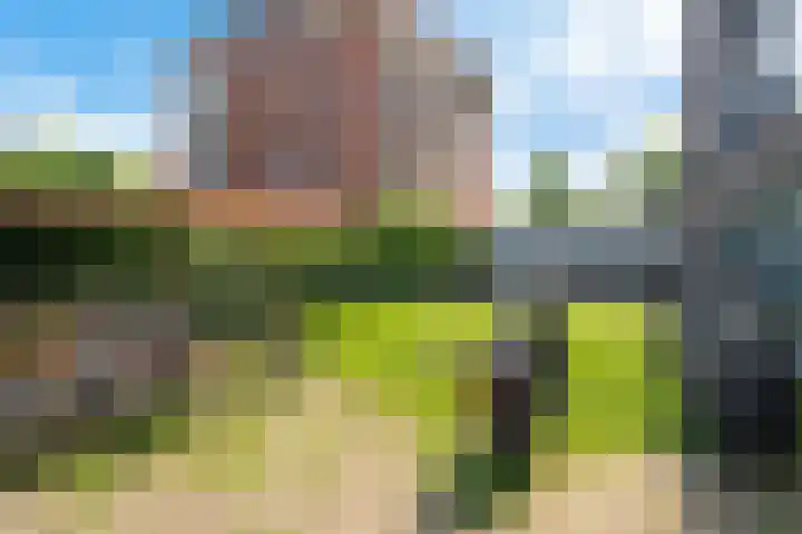 Sybold van Ravensteynpad 22 Bergschenhoek thumbnail 32