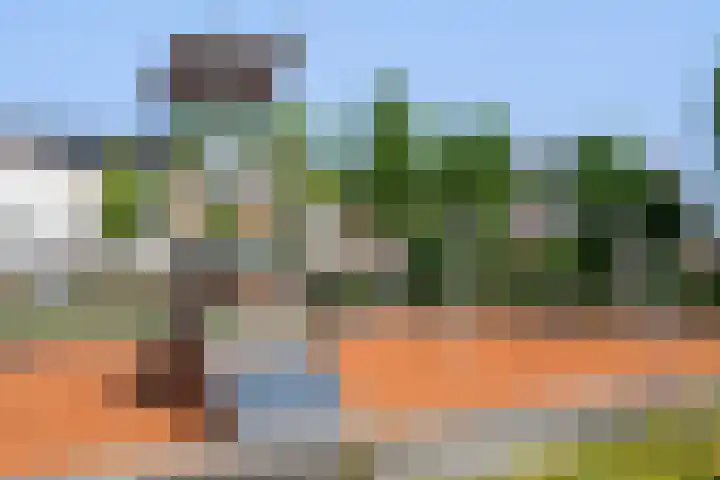 Sybold van Ravensteynpad 22 Bergschenhoek thumbnail 36