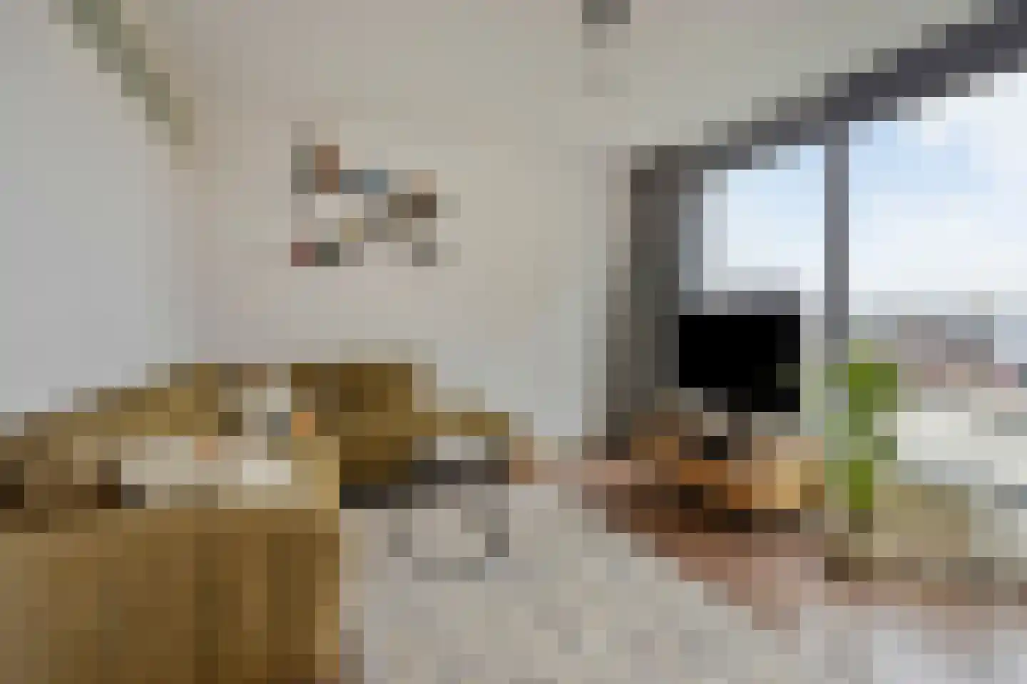 Sybold van Ravensteynpad 24 Bergschenhoek thumbnail 13