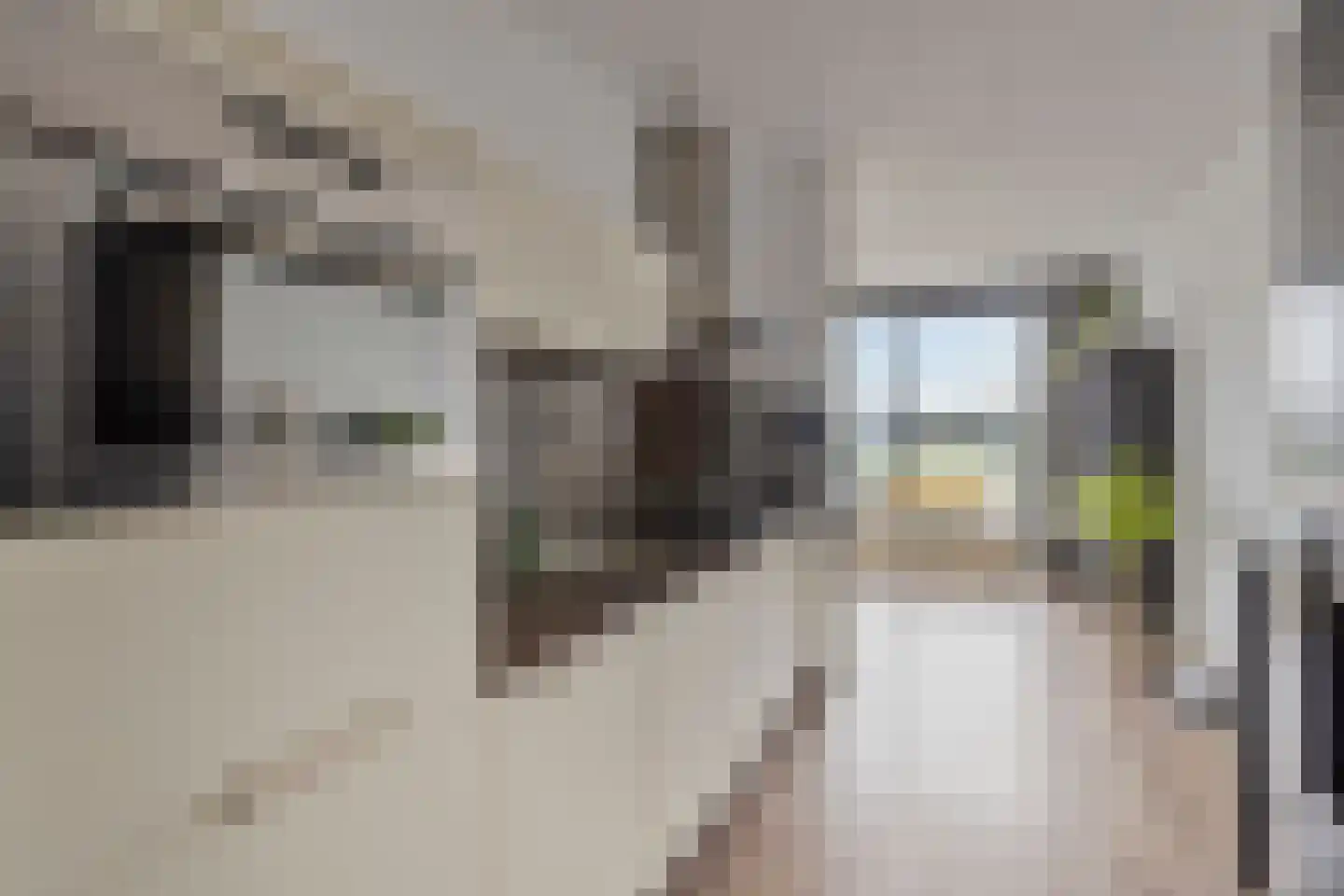 Sybold van Ravensteynpad 24 Bergschenhoek thumbnail 20
