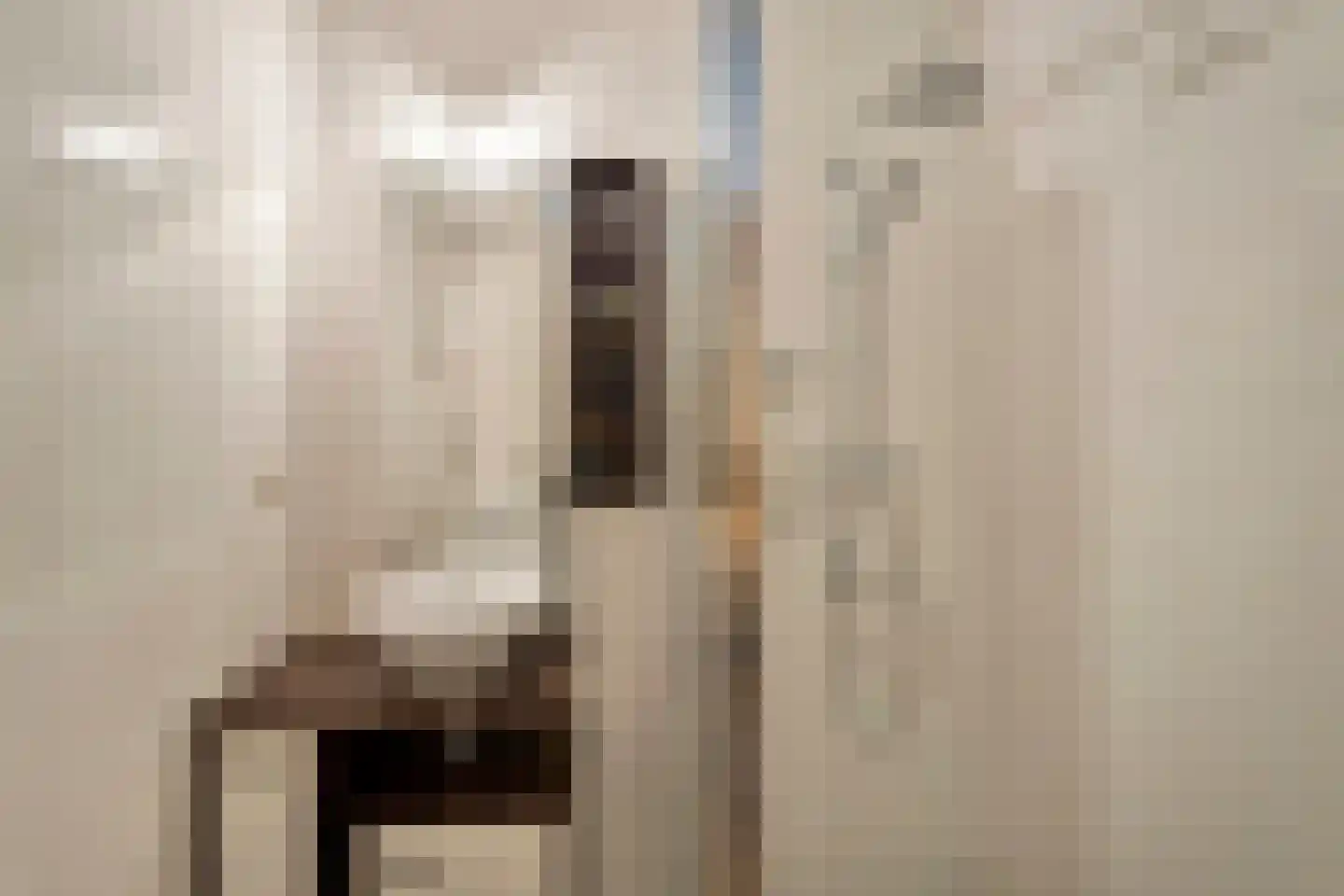 Sybold van Ravensteynpad 24 Bergschenhoek thumbnail 25