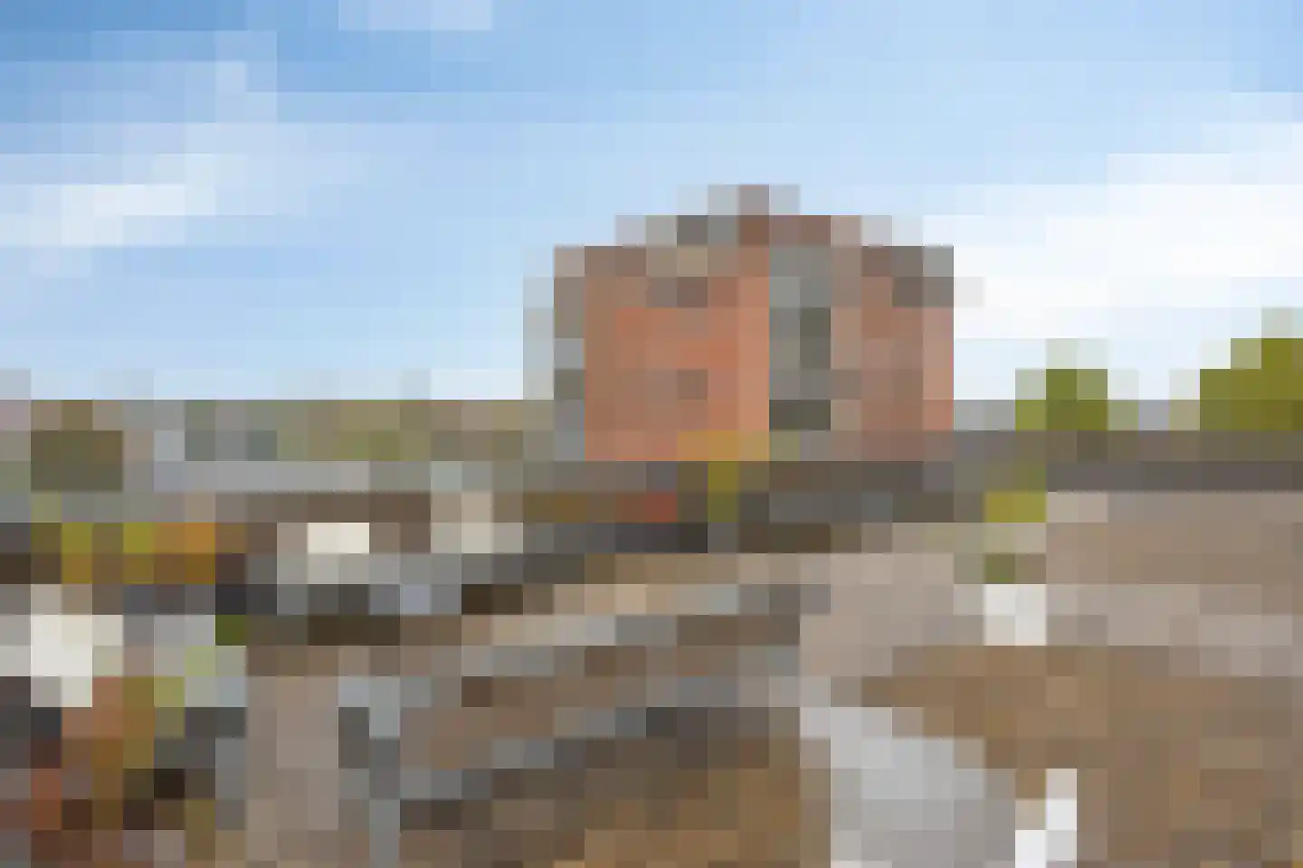 Sybold van Ravensteynpad 24 Bergschenhoek thumbnail 28