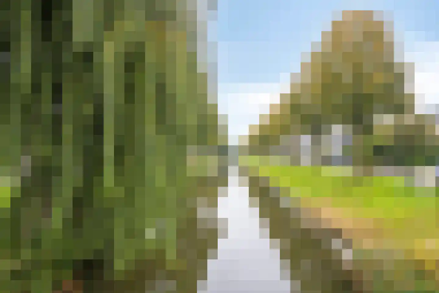 Sybold van Ravensteynpad 24 Bergschenhoek thumbnail 35