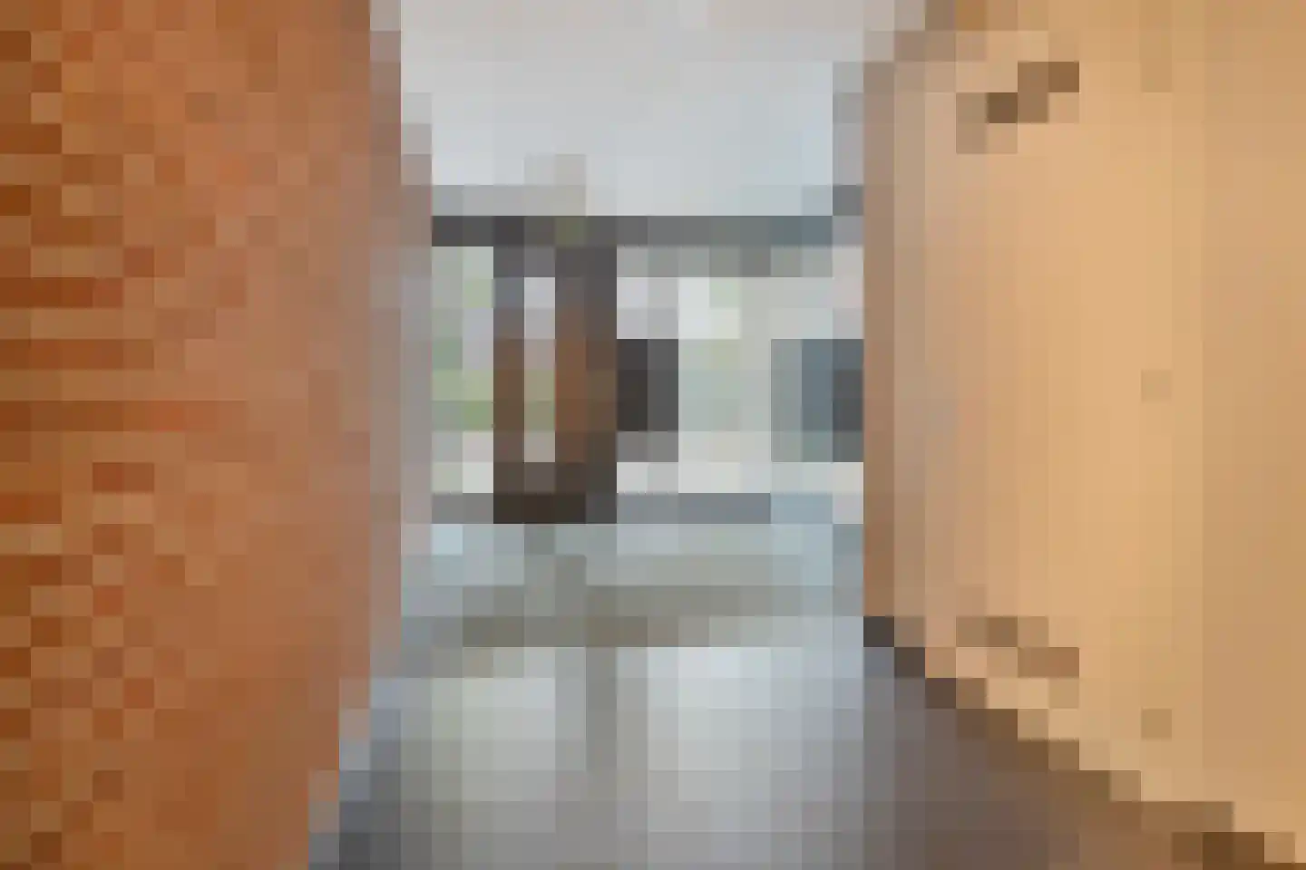 Sybold van Ravensteynpad 24 Bergschenhoek thumbnail 6