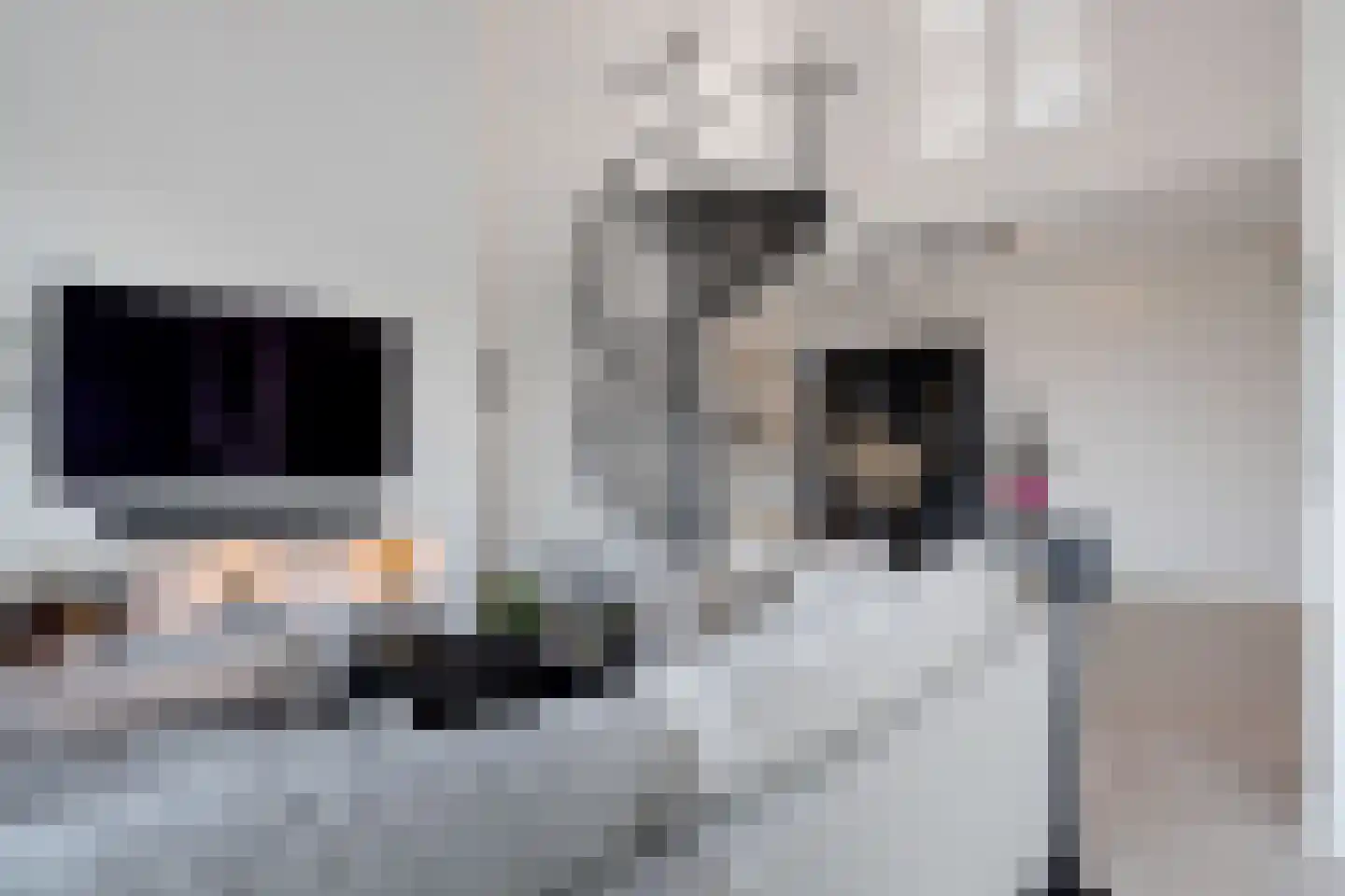 Sybold van Ravensteynpad 30 Bergschenhoek thumbnail 12
