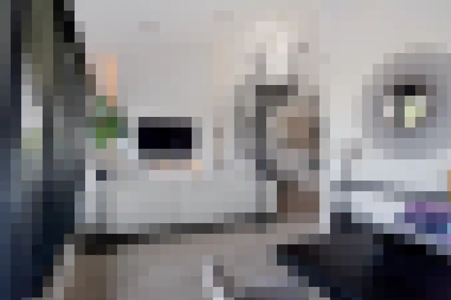 Sybold van Ravensteynpad 30 Bergschenhoek thumbnail 16