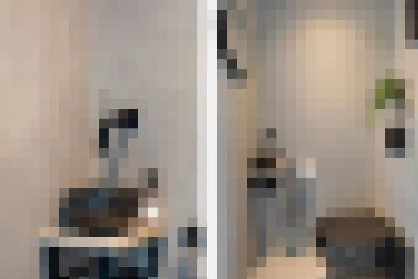 Sybold van Ravensteynpad 30 Bergschenhoek thumbnail 17
