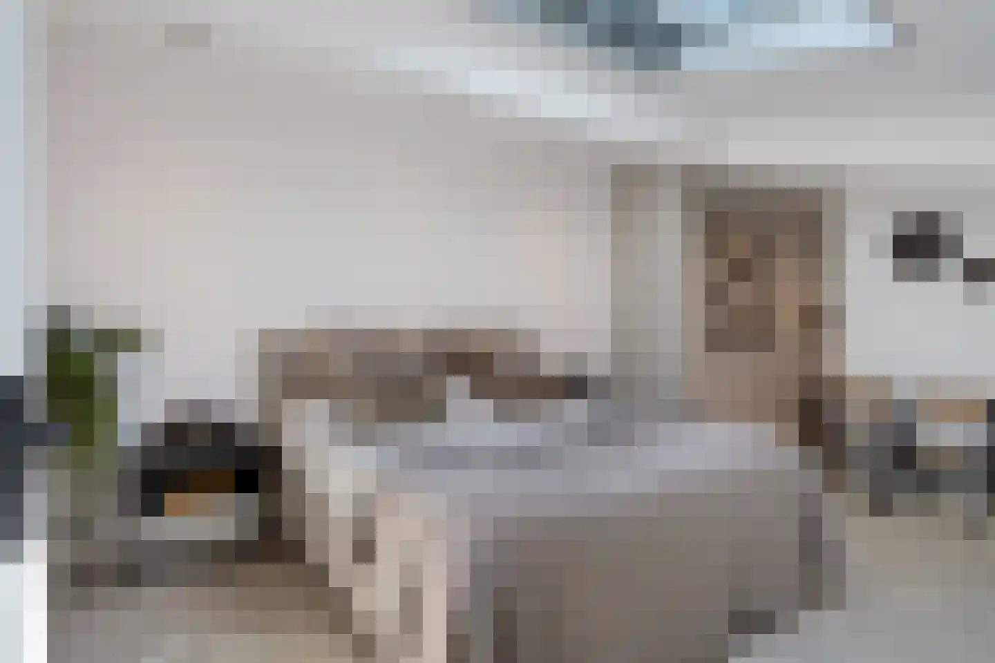 Sybold van Ravensteynpad 30 Bergschenhoek thumbnail 26