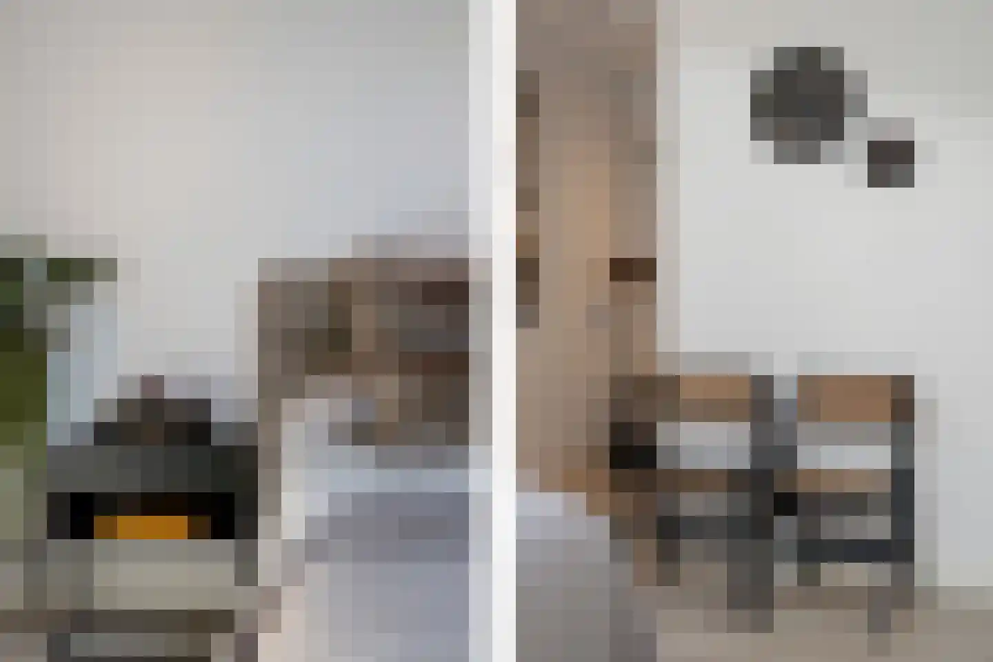 Sybold van Ravensteynpad 30 Bergschenhoek thumbnail 27