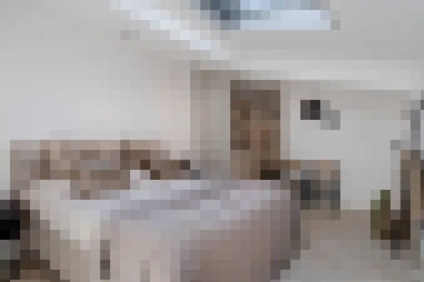 Sybold van Ravensteynpad 30 Bergschenhoek thumbnail 29