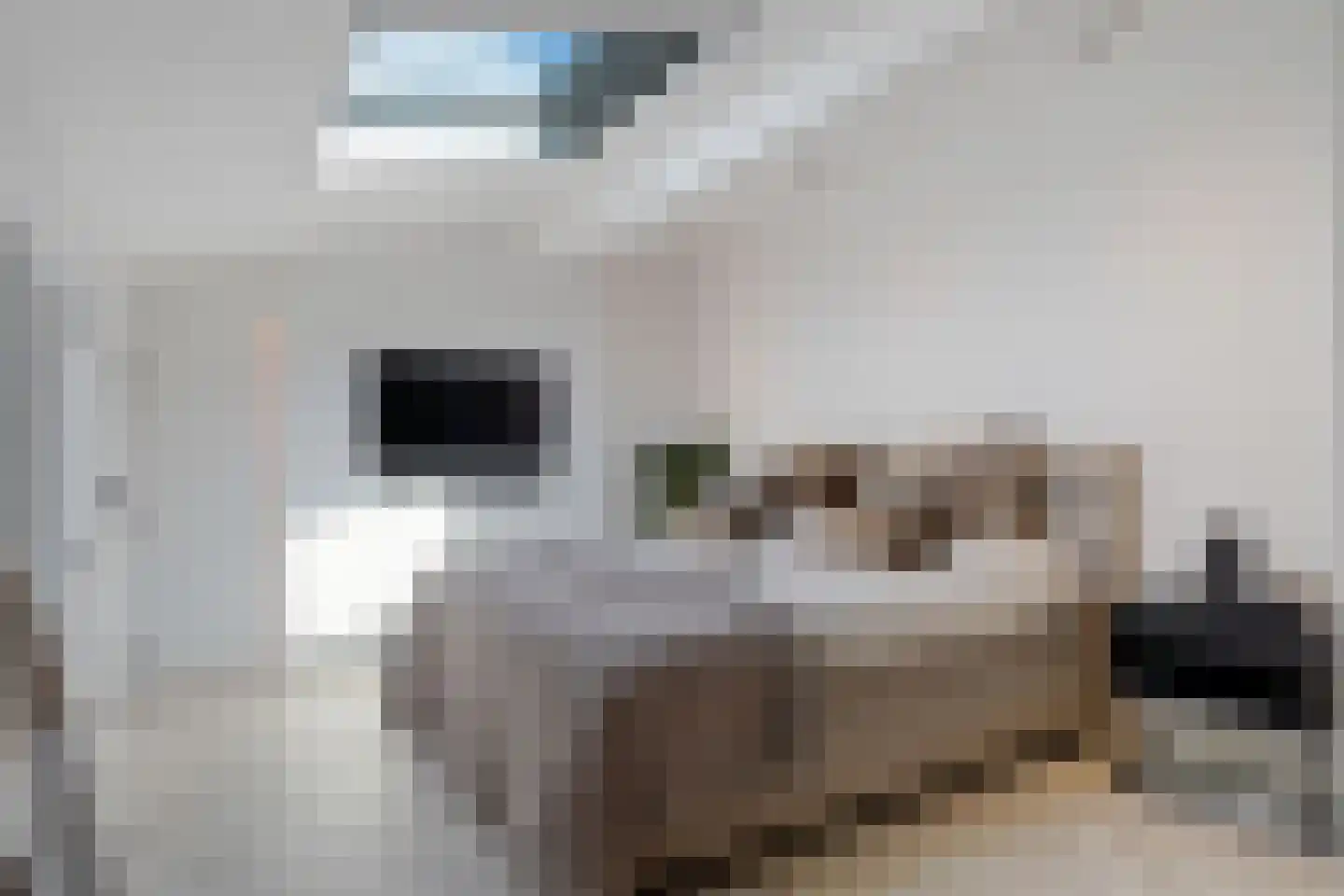 Sybold van Ravensteynpad 30 Bergschenhoek thumbnail 32