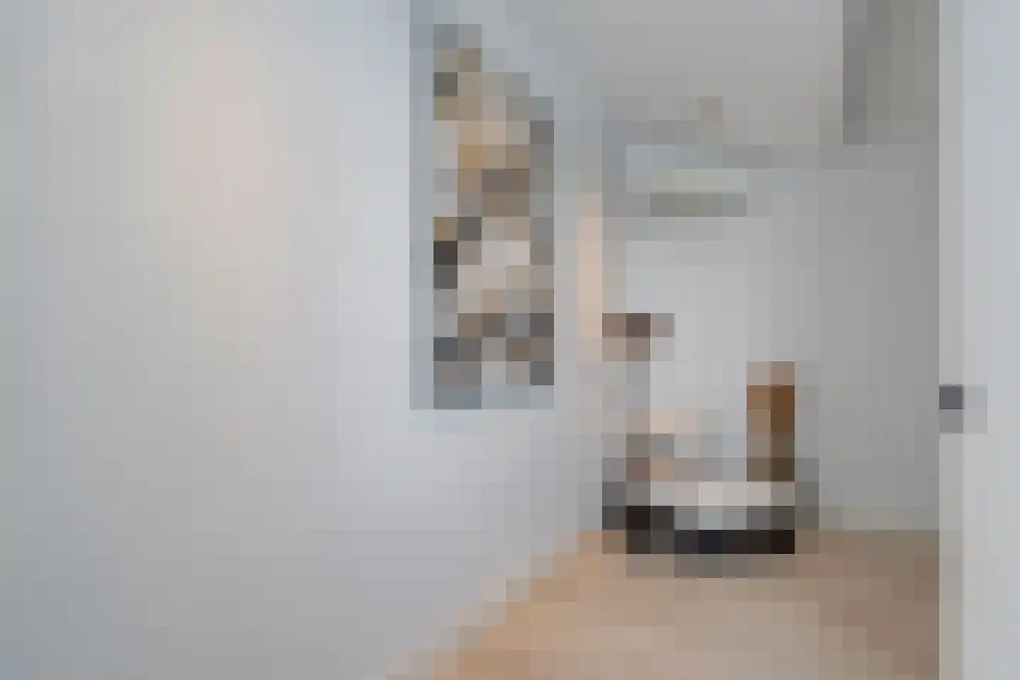 Sybold van Ravensteynpad 30 Bergschenhoek thumbnail 33
