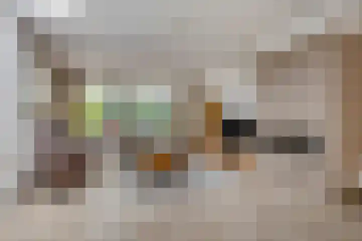 Sydney 3 Drunen thumbnail 10