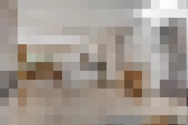 Sydney 3 Drunen thumbnail 12