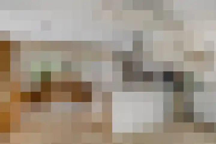 Sydney 3 Drunen thumbnail 13