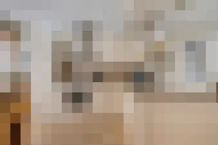 Sydney 3 Drunen thumbnail 14