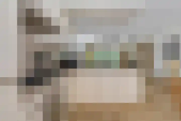 Sydney 3 Drunen thumbnail 15
