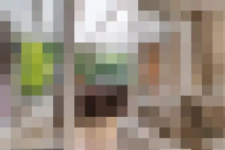 Sydney 3 Drunen thumbnail 16