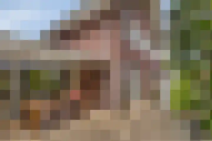 Sydney 3 Drunen thumbnail 18