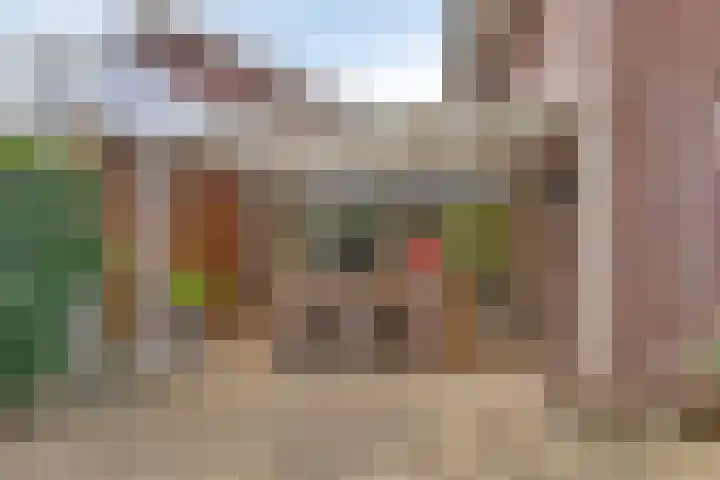 Sydney 3 Drunen thumbnail 19