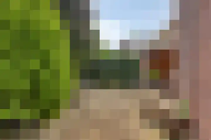 Sydney 3 Drunen thumbnail 20