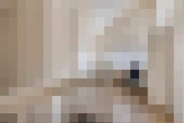 Sydney 3 Drunen thumbnail 25