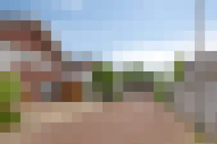 Sydney 3 Drunen thumbnail 30