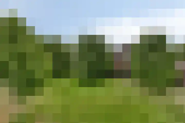 Sydney 3 Drunen thumbnail 32