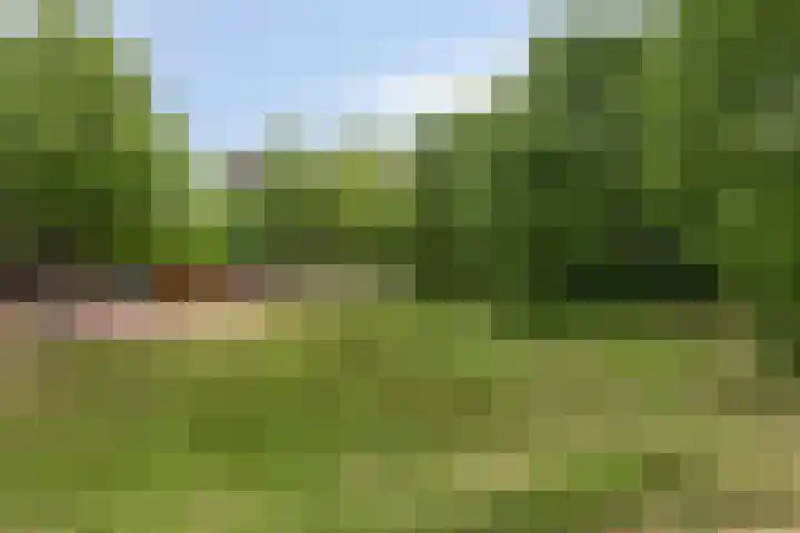 Sydney 3 Drunen thumbnail 33