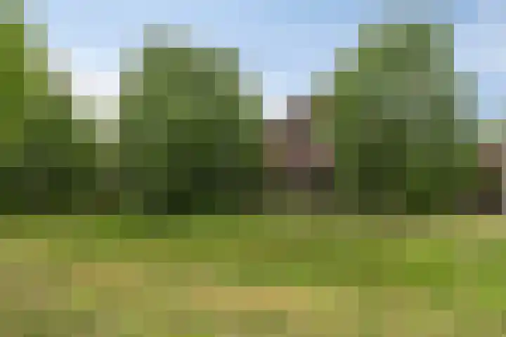 Sydney 3 Drunen thumbnail 5