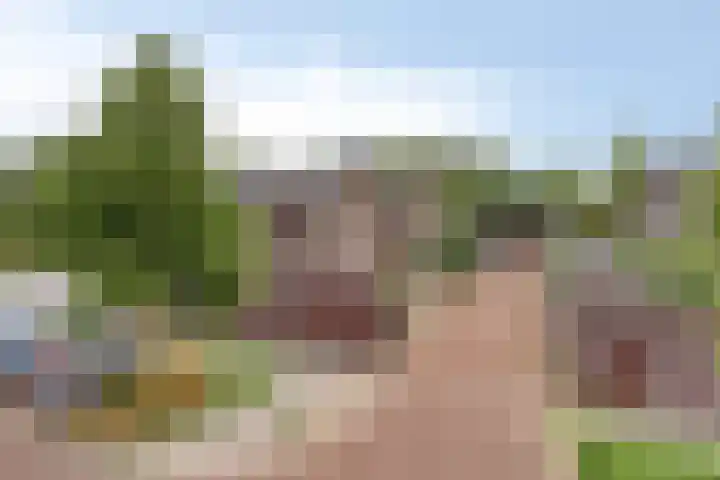 Sydney 3 Drunen thumbnail 6