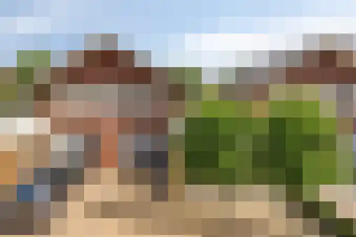 Sydney 3 Drunen thumbnail 8