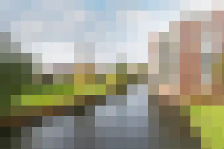 Sydneystraat 19 Purmerend thumbnail 39