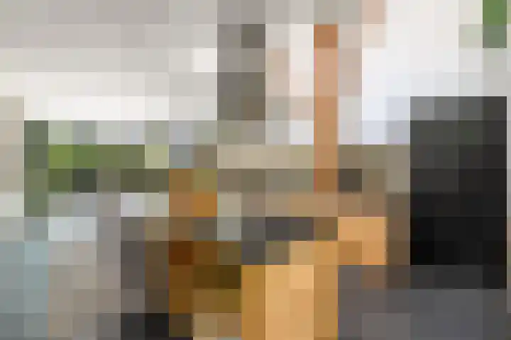 Sydtakke 18 Rottum thumbnail 10