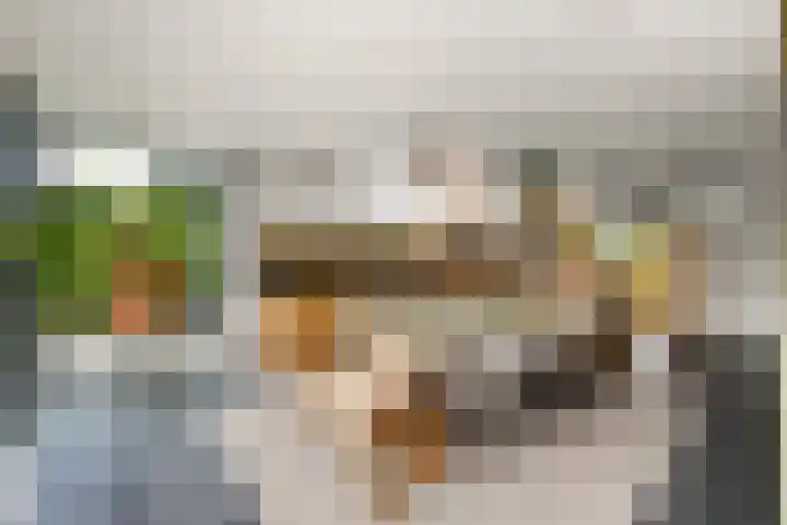 Sydtakke 18 Rottum thumbnail 11