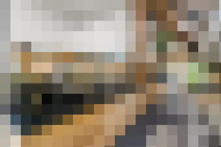 Sydtakke 18 Rottum thumbnail 12