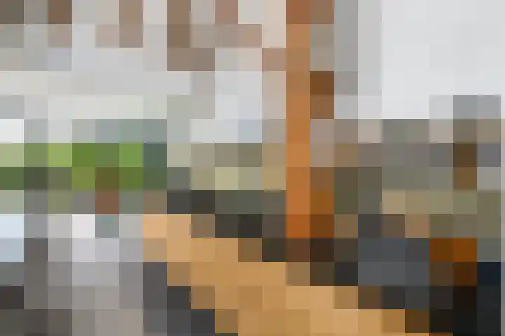 Sydtakke 18 Rottum thumbnail 13