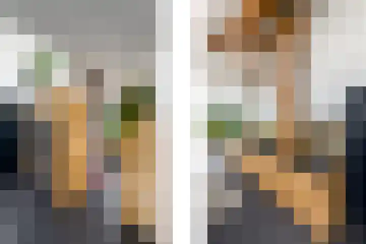 Sydtakke 18 Rottum thumbnail 14