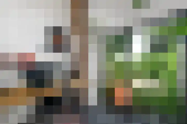 Sydtakke 18 Rottum thumbnail 15